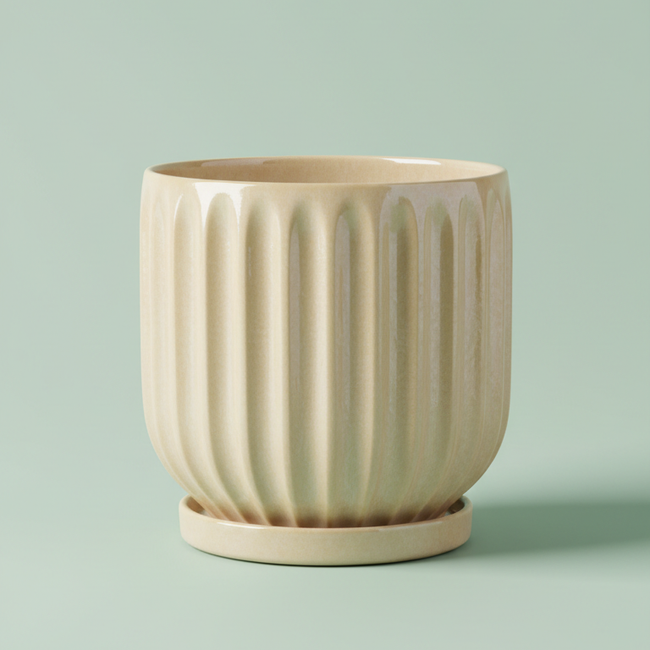 Elegant Ceramic Plant Pot - textured ceramic plant pot
